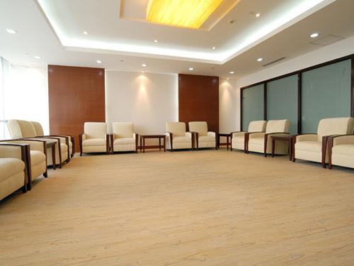 室內塑膠地板圖片欣賞