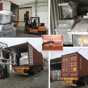 出口-印尼、馬來西亞，泰國、非洲、澳大利亞、歐洲等多個國家