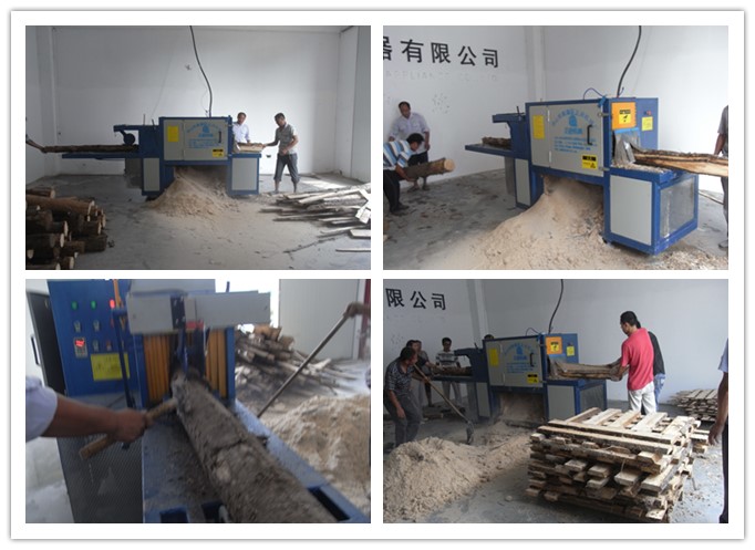 江蘇宿遷泗陽(yáng)--原木多片鋸工作圖