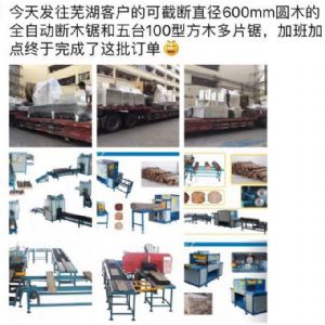 發往國內客戶的原木多片鋸生產線專柜