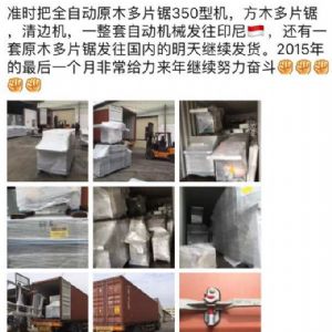 2017年發(fā)貨國外rn400-250型原木多片鋸生產(chǎn)線&nbsp;，鋸木機(jī)生產(chǎn)線