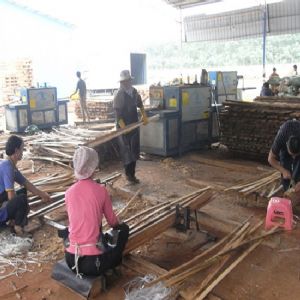 河北省-廊坊-圓木-方木多片鋸-加工現(xiàn)場(chǎng)0