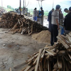 廣東省韶關(guān)市馬壩-方木多片鋸150高-加工現(xiàn)場