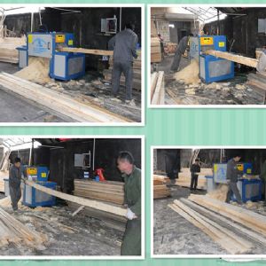 浙江-上海-鋸方木高150原木多片鋸-加工現場