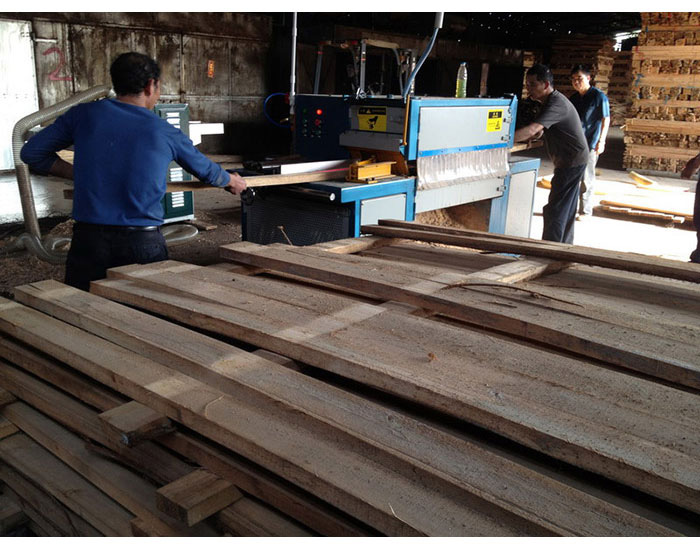 廣東省-惠州-博羅-方木50高多片鋸加工現(xiàn)場