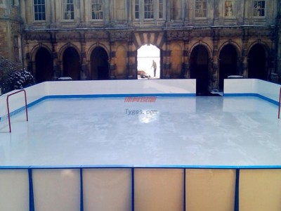 新興超高分子量聚乙烯地板，溜冰場滑板，溜冰場圍欄，高強耐磨運動地板-- 湯陰縣新興工程塑化有限公司