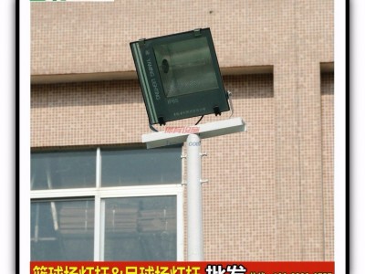 衡陽(yáng)市城南籃球場(chǎng)燈桿-球場(chǎng)燈桿柏克鍍鋅燈桿--6--7-8米籃球場(chǎng)燈桿鍍鋅--柏克體育-- 中山市西區(qū)柏克體育用品廠