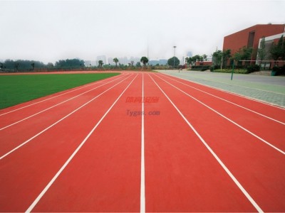 塑膠跑道//幼兒園塑膠地面價格--價格-報價-- 河北潤德橡膠制品有限公司