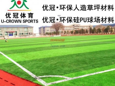 優冠體育人造草坪-足球場草坪-幼兒園草坪-綠化景觀草坪-- 湖南優冠體育材料有限公司