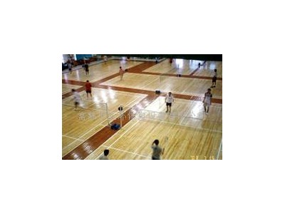常熟五環(huán)生產(chǎn)排球場運動木地板-乒乓球場體育木地板-籃球場地板-- 常熟市五環(huán)體育設(shè)備有限公司