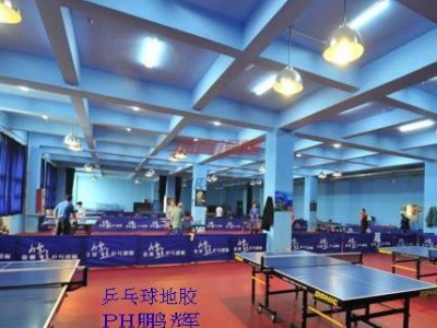供應PH鵬輝乒乓球pvc運動地板@乒乓球地膠-- 北京東方鵬輝科技有限公司