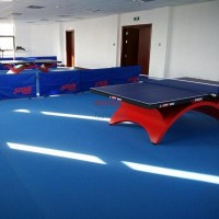 浩康3.0玉米紋運動地膠多功能運動地板-PVC運動地板地膠-乒乓球塑膠地板地面