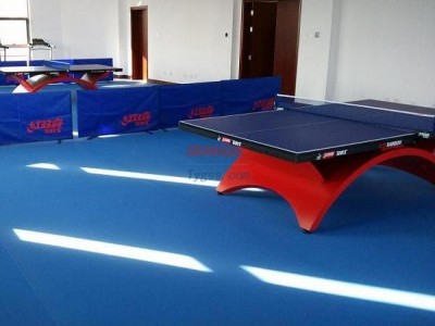 浩康布紋紋乒乓球地膠-4.5藍色布紋紅色布紋乒乓球室運動地膠-PVC運動地板地膠-乒乓球塑膠地板地面-- 珠海市愛動體育用品有限公司