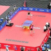 潔福pvc運動地板廠家，-乒乓球-羽毛