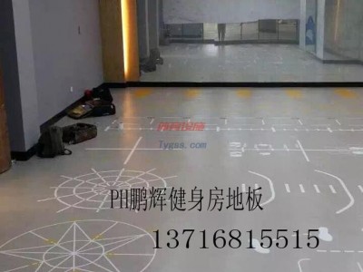 供應PH鵬輝健身房橡膠地板-健身房專用地板-- 北京東方鵬輝科技有限公司