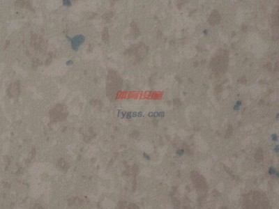 韓國LG（特蘭迪12408）防靜電地板-石塑地板-卷材地板-PVC地板-懸浮拼裝地板-運動地板-舞蹈地板-同質透心地板-- 深圳雅麗源建材科技有限公司