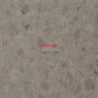 韓國LG（特蘭迪12408）防靜電地板-石塑地板-卷材地板-PVC地板-懸浮拼裝地板-運動地板-舞蹈地板-同質透心地板