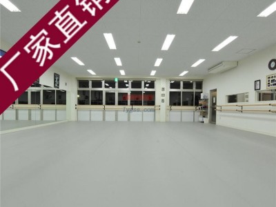 兒童舞蹈地板-pvc塑膠地板-舞蹈地板-芭蕾舞蹈地板-pvc舞蹈地膠-- 鄭州馳華仕科技有限公司