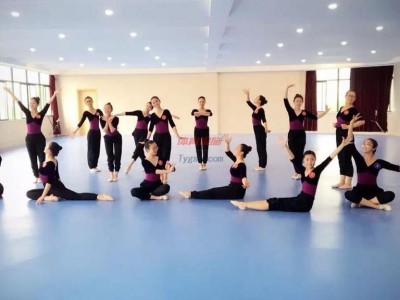 舞蹈地膠舞蹈地板幼兒園舞蹈培訓班地膠培訓中心地板膠PVC舞蹈地膠-- 珠海市愛動體育用品有限公司