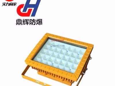 50W100W150W防爆燈-led投光燈防水防塵防腐生產(chǎn)廠家直銷-- 武進(jìn)區(qū)洛陽鼎輝防爆燈具廠