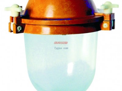中沈防爆GC57-防腐蝕燈GC57-150-可裝150w金屬鹵化燈-帶防爆鎮(zhèn)流器-河南那里有防爆燈-- 浙江中沈防爆電器有限公司