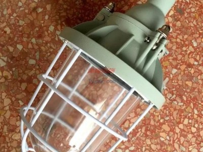 供應(yīng)BCd100隔爆型防爆燈/新黎明隔爆型防爆燈/BCD隔爆型防爆燈生產(chǎn)廠家-- 上海新黎明防爆電器有限公司
