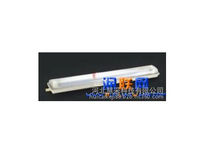 資陽粉塵防爆燈-防爆無極燈--- 河北慧采科技有限公司