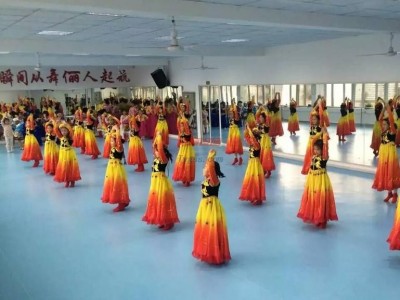 美立德5.0MM舞蹈地膠專業舞蹈地板幼兒園防滑舞蹈地膠少兒培訓無劃痕舞蹈地膠PVC地膠-- 珠海市愛動體育用品有限公司