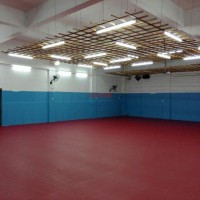 浩康粗布紋乒乓球地膠-6.0乒乓球室運