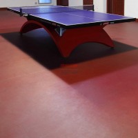 浩康菠蘿紋乒乓球地膠-乒乓球室運動