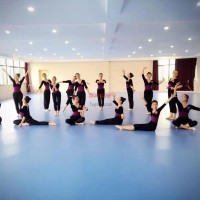 佛山美立德舞蹈地膠幼兒園舞蹈地膠環