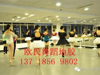 軟體舞蹈地板--舞蹈地膠價格-舞蹈教室用的地板-- 北京世紀耐德科技有限公司
