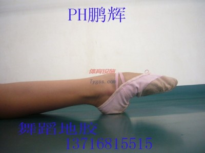 供應PH鵬輝芭蕾舞表演專用地板-舞蹈地板北京鵬輝-芭蕾舞臺專用地板-- 北京東方鵬輝科技有限公司