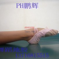 供應PH鵬輝芭蕾舞表演專用地板-舞蹈地板北京鵬輝-芭蕾舞臺專用地板