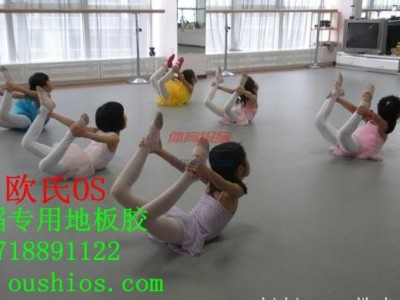 芭蕾舞蹈地膠板，舞蹈專用橡膠地板--舞蹈專用木地板-- 北京世紀耐德科技有限公司