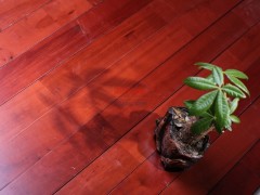 舞臺(tái)專用木地板的四大優(yōu)勢(shì)講述