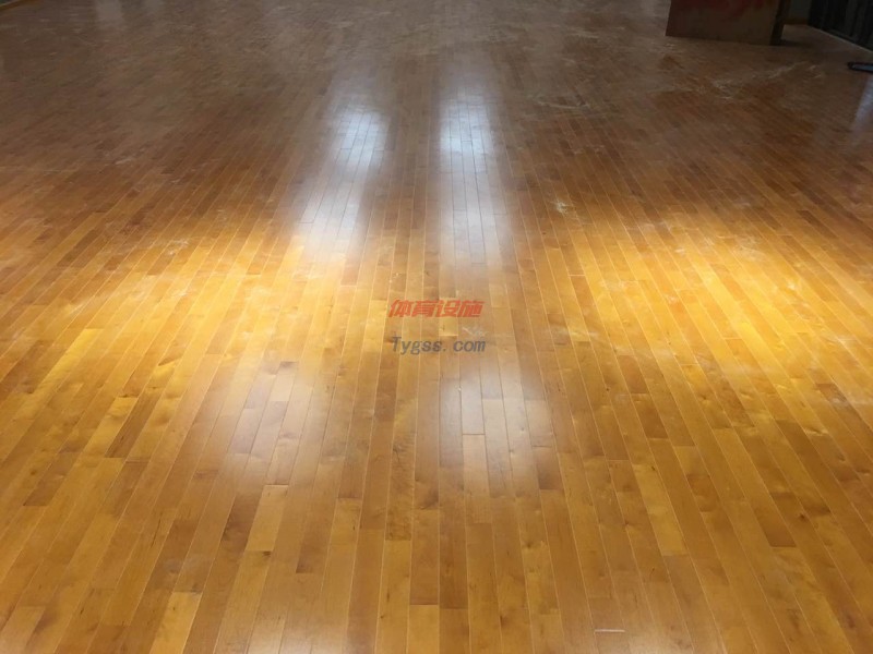 體育木地板