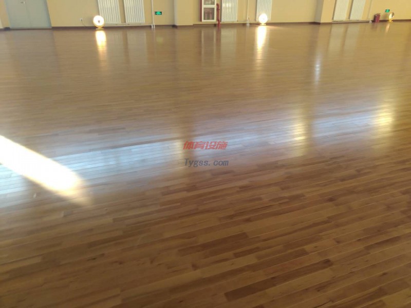 歐氏運動木地板