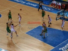 運(yùn)動(dòng)木地板廠家如何選擇木材的