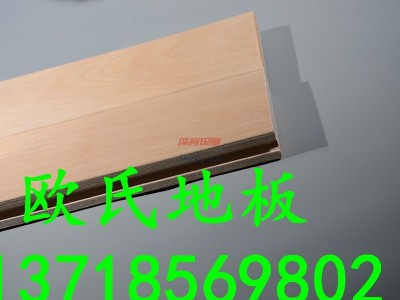 羽毛球場木地板-羽毛球木地板-羽毛球場地木地板-羽毛球木地板-- 北京世紀耐德科技有限公司