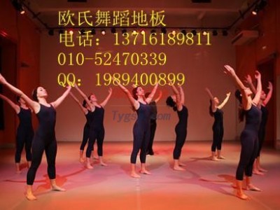 進(jìn)口芭蕾舞蹈地板-塑膠舞蹈地板-舞蹈教室塑膠地板-- 北京世紀(jì)耐德科技有限公司