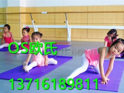 玉林舞蹈地膠價格-舞蹈地板膠-- 北京世紀耐德科技有限公司