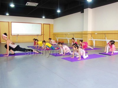 pvc塑膠運動地板-- 北京世紀耐德科技有限公司