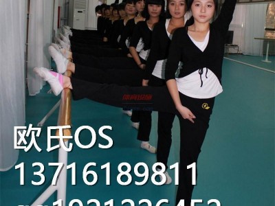 專業舞蹈地膠-舞蹈教室地板-- 北京世紀耐德科技有限公司
