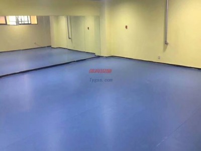 鵬輝舞蹈教室用地板-舞蹈教室塑膠地板-舞蹈教室地板-- 北京東方鵬輝科技有限公司