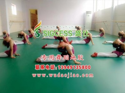 舞蹈地板-舞蹈地板膠-舞蹈地板價格-- 鄭州馳華仕科技有限公司