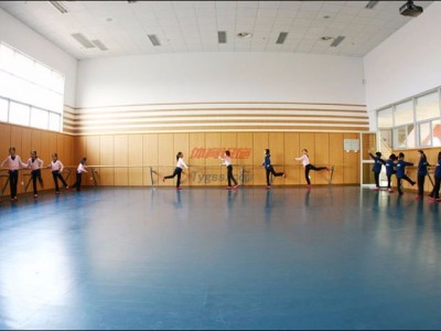 奧麗奇-舞蹈家舞蹈地膠-舞蹈排練廳地膠-舞蹈膠地板-- 北京奧麗奇地板有限公司