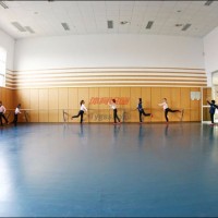 奧麗奇-舞蹈家舞蹈地膠-舞蹈排練廳地膠-舞蹈膠地板