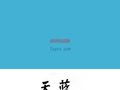 【廠家直銷**品質】高端PVC舞蹈專用地板-- 北京龍江飛新材料技術有限公司