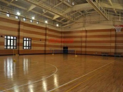 pvc塑膠地板系列-PVC地板--pvc運動地板-- 河南省億佰建材有限公司